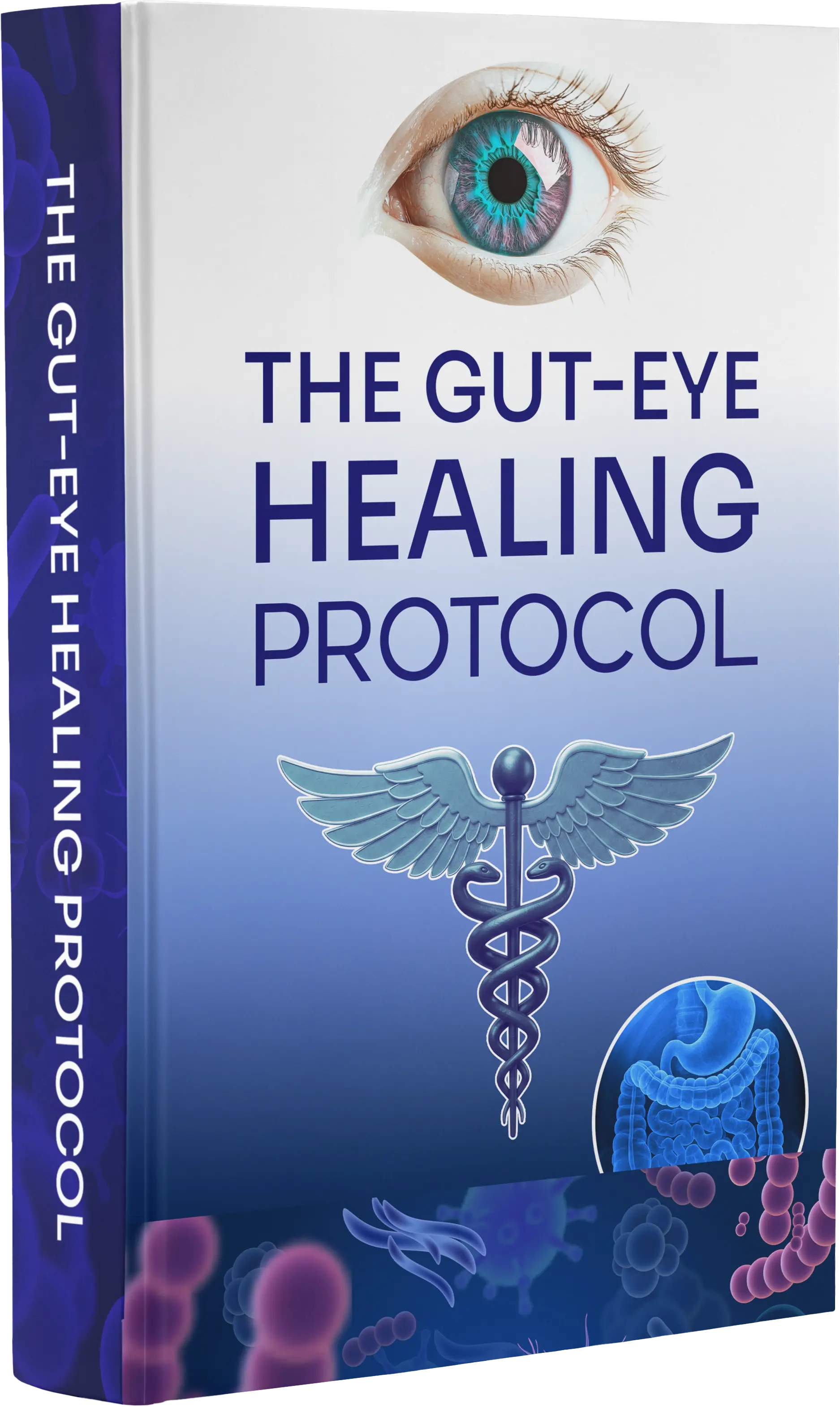 The Gut-Eye Healing Protocol digital ebook cover