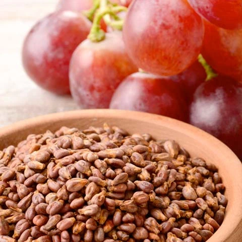 Grape Seed, Rutin and Quercetin
